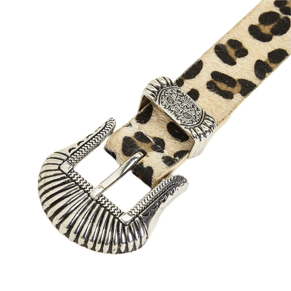 Scene Women's Leopard Print Belt with Ornate Silver-Tone Buckle